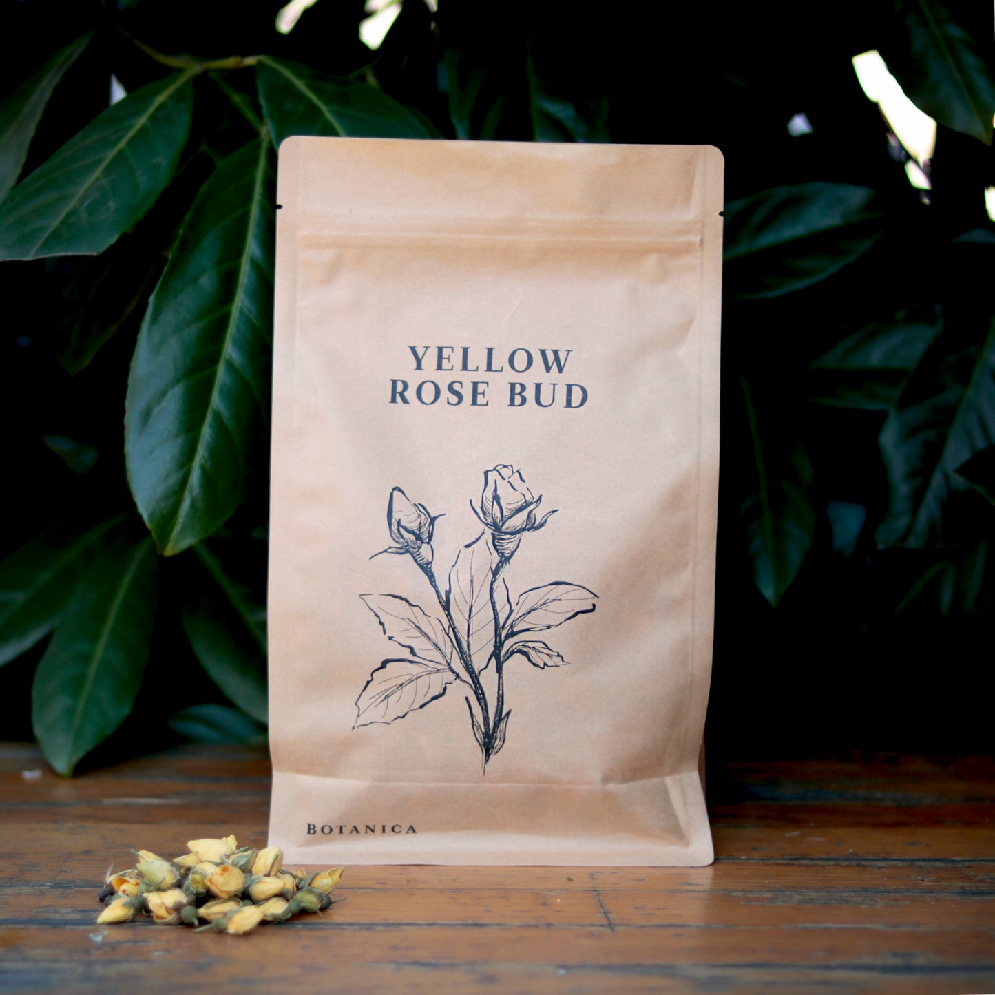 Botanica - Persian Pink Rose buds