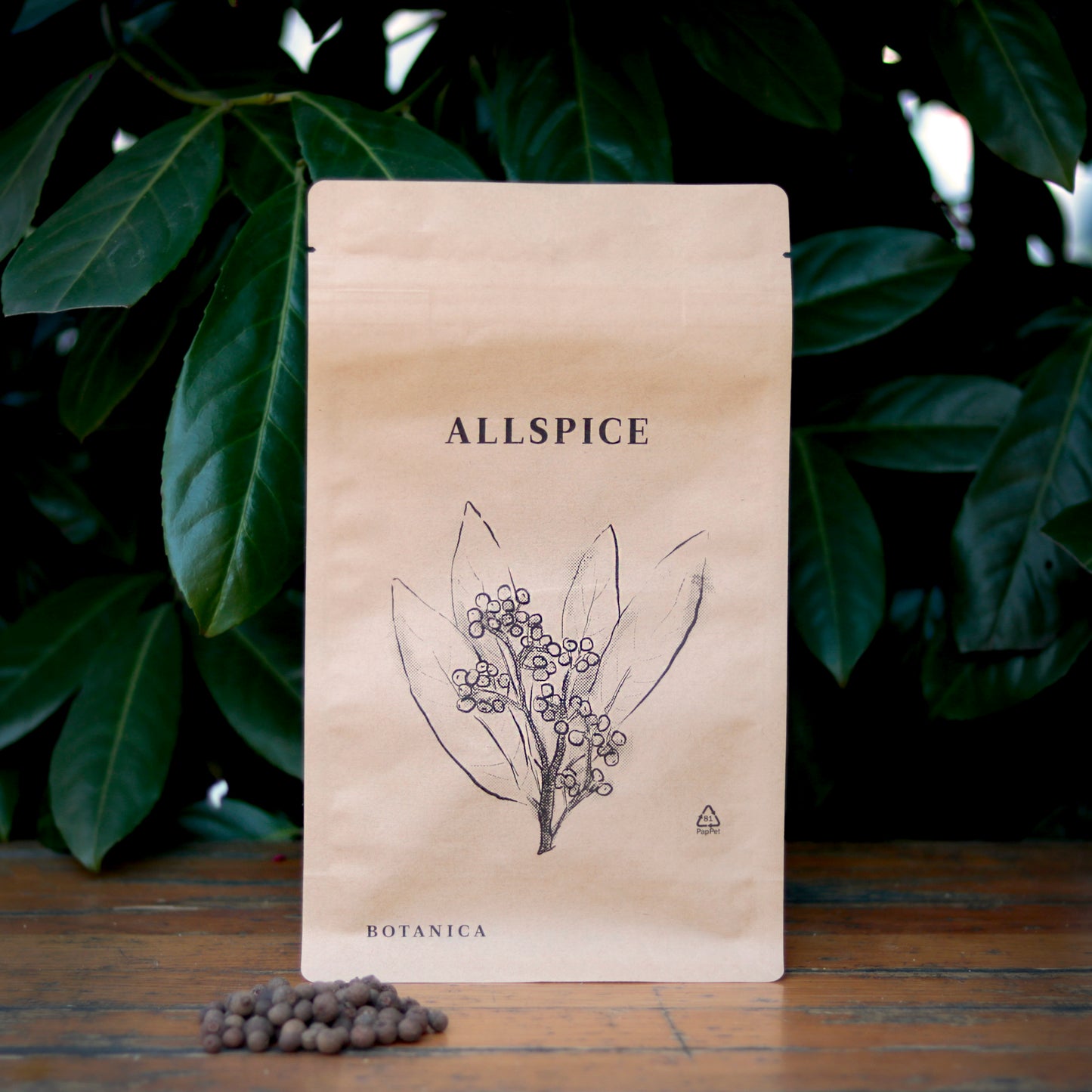 Botany - Allspice