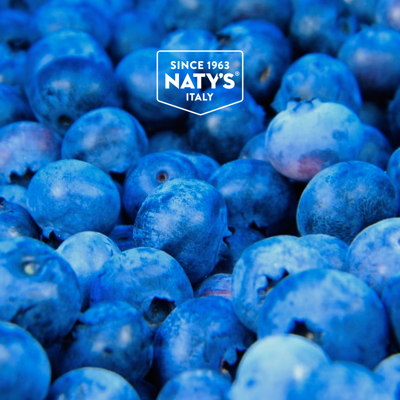 Organic Wild Blueberry