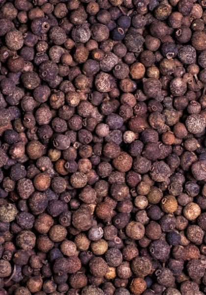 Botany - Allspice