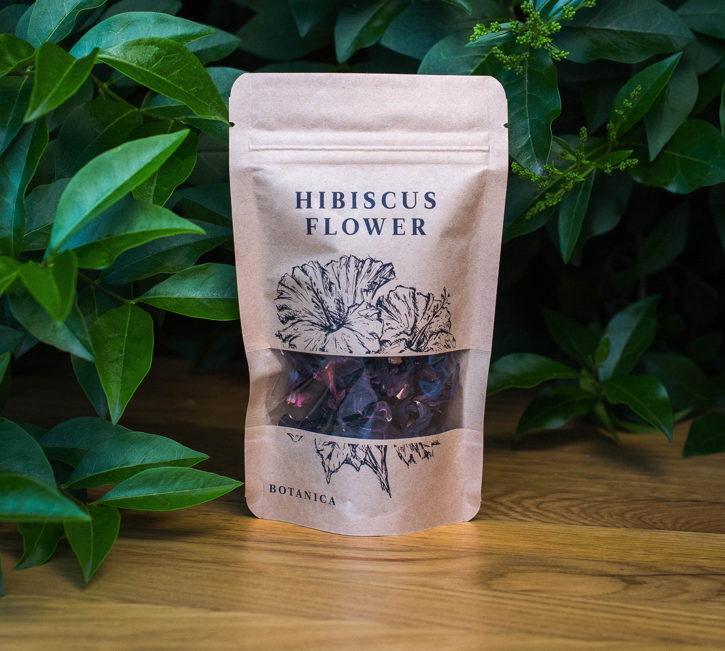 Botany - Hibiscus Flower