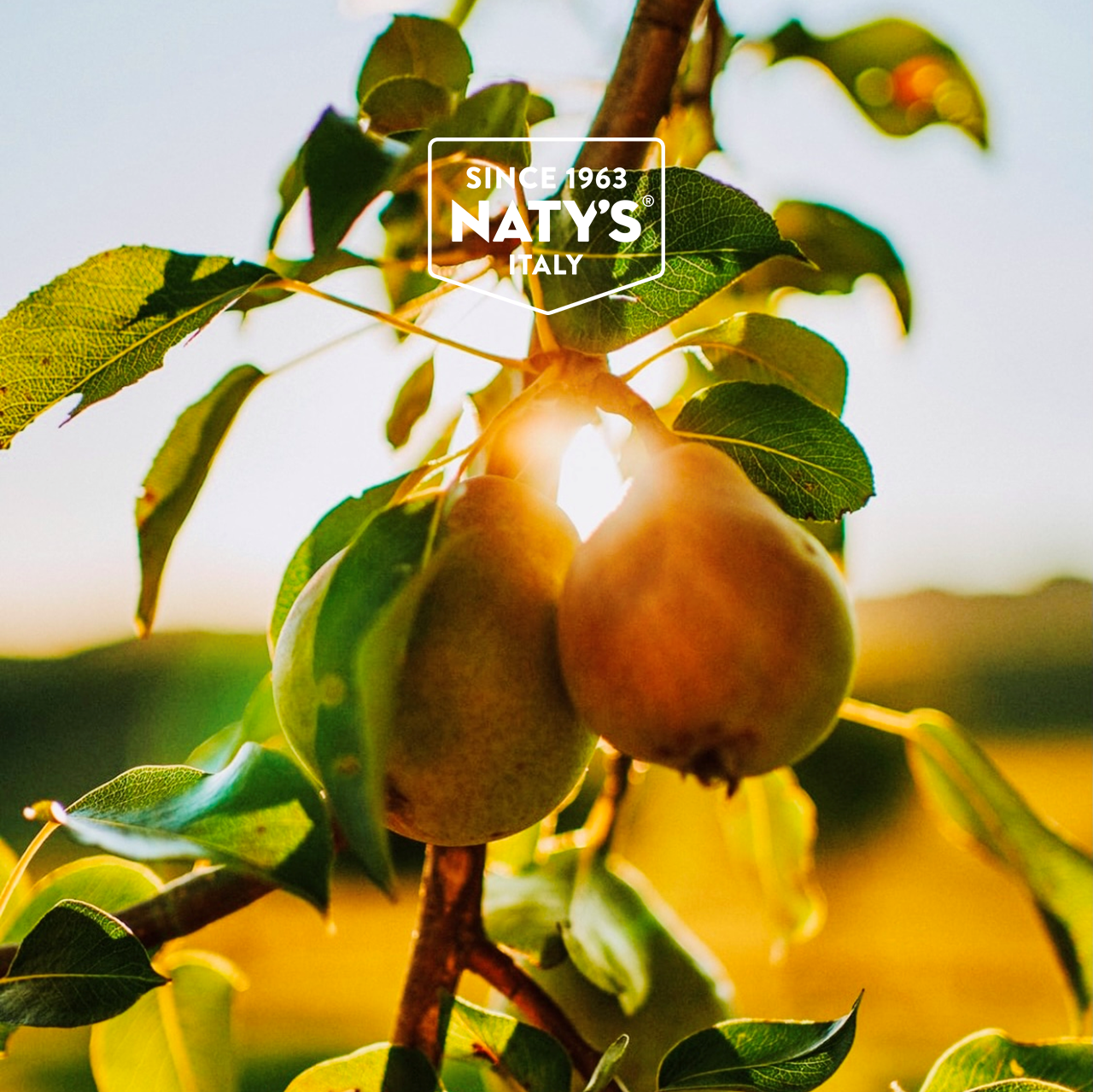 Organic Pear
