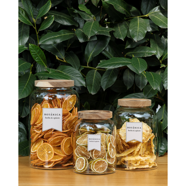 Botanica - Vaso Vetro