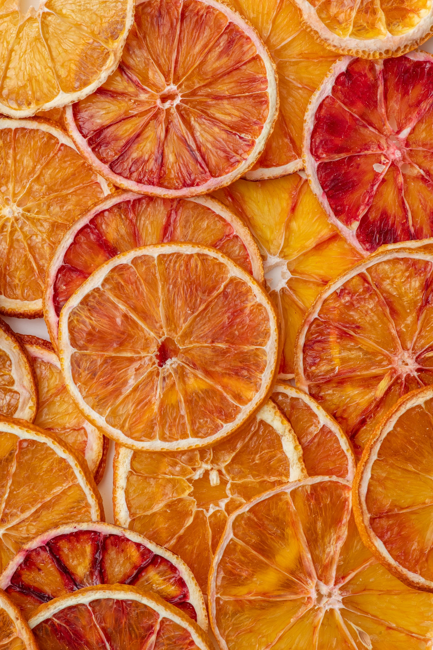 Botany - Dehydrated orange