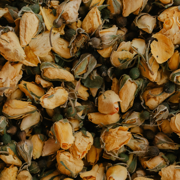 Botanica - Rosa Persiana Gialla