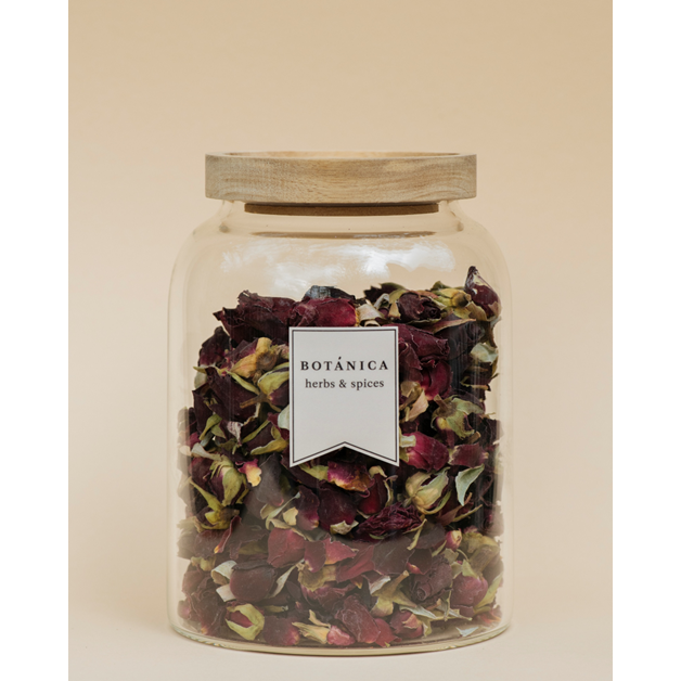 Botanica - Vaso Vetro