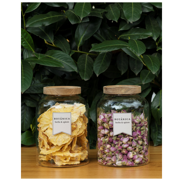 Botanica - Vaso Vetro