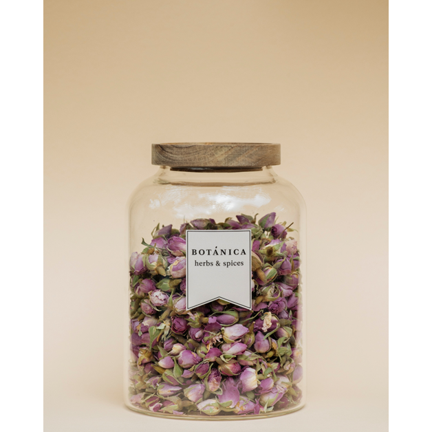 Botanica - Vaso Vetro