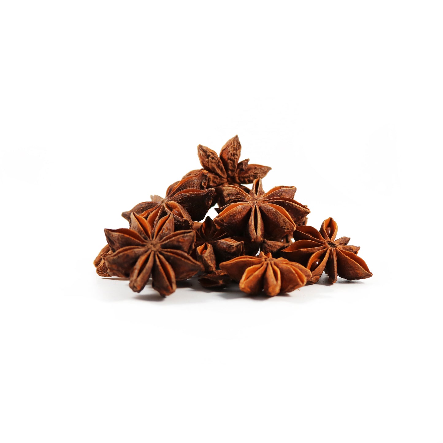 Botany - Star Anise