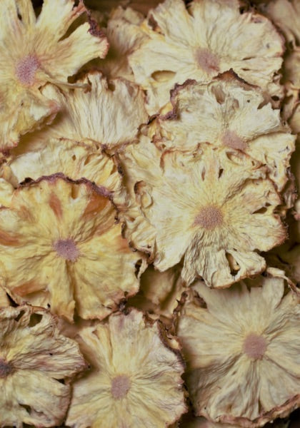 Botany - Dehydrated pineapple