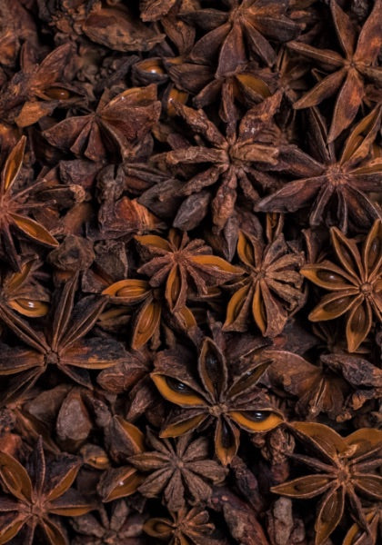 Botany - Star Anise