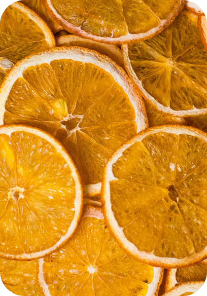 Botany - Dehydrated orange