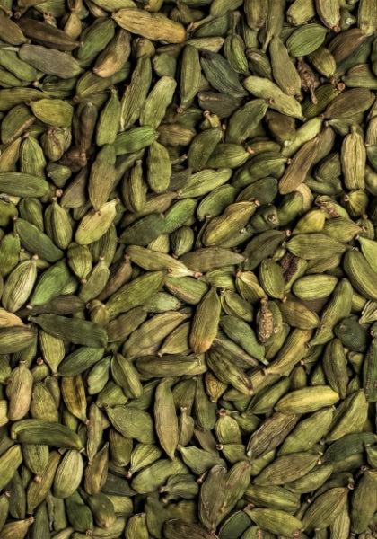 Botany - Cardamom