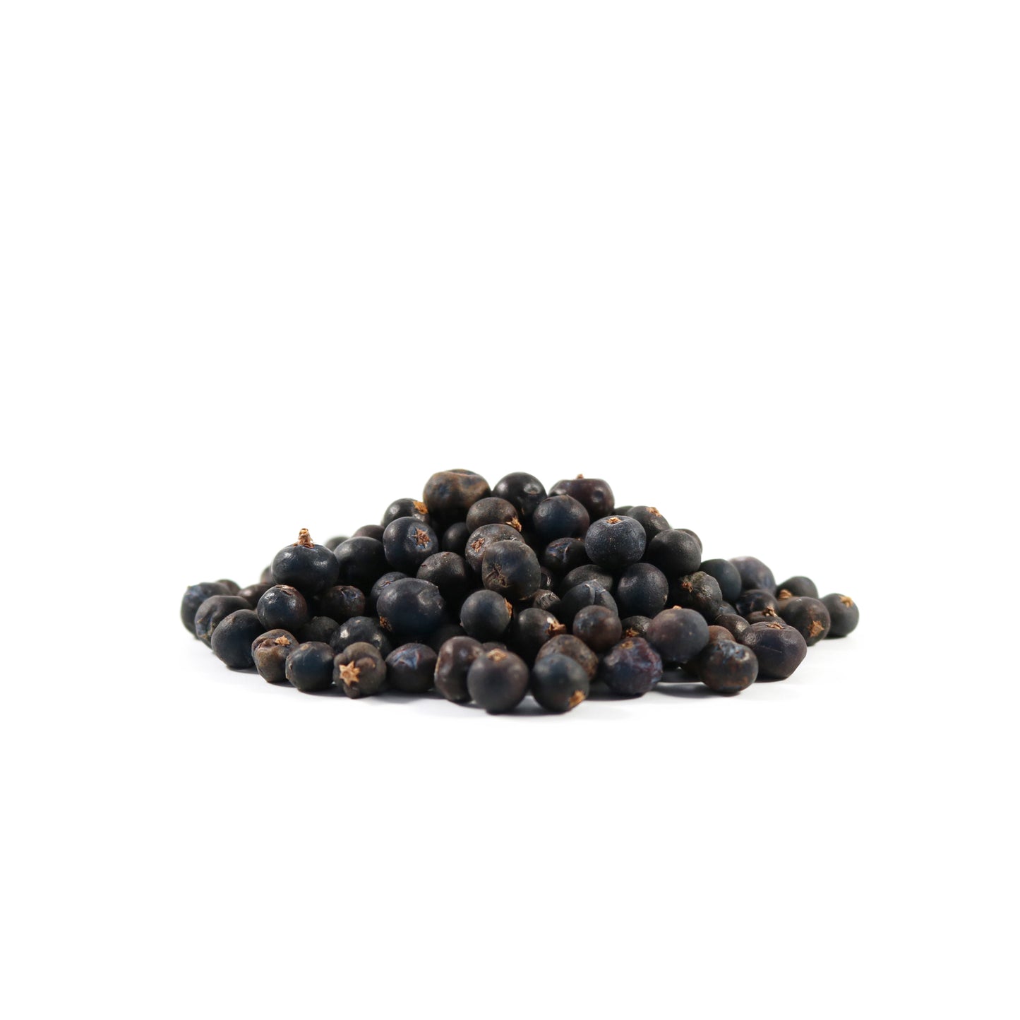 Botany - Juniper berries