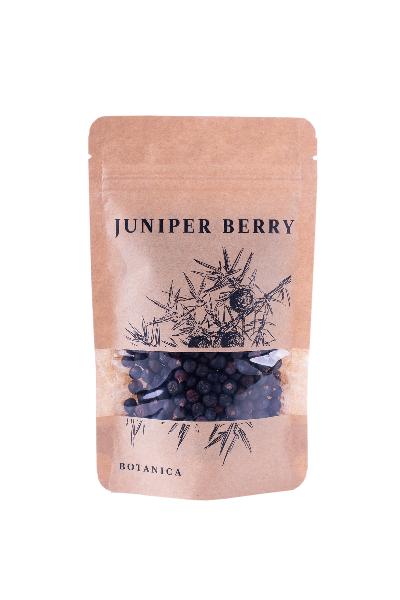 Botany - Juniper berries