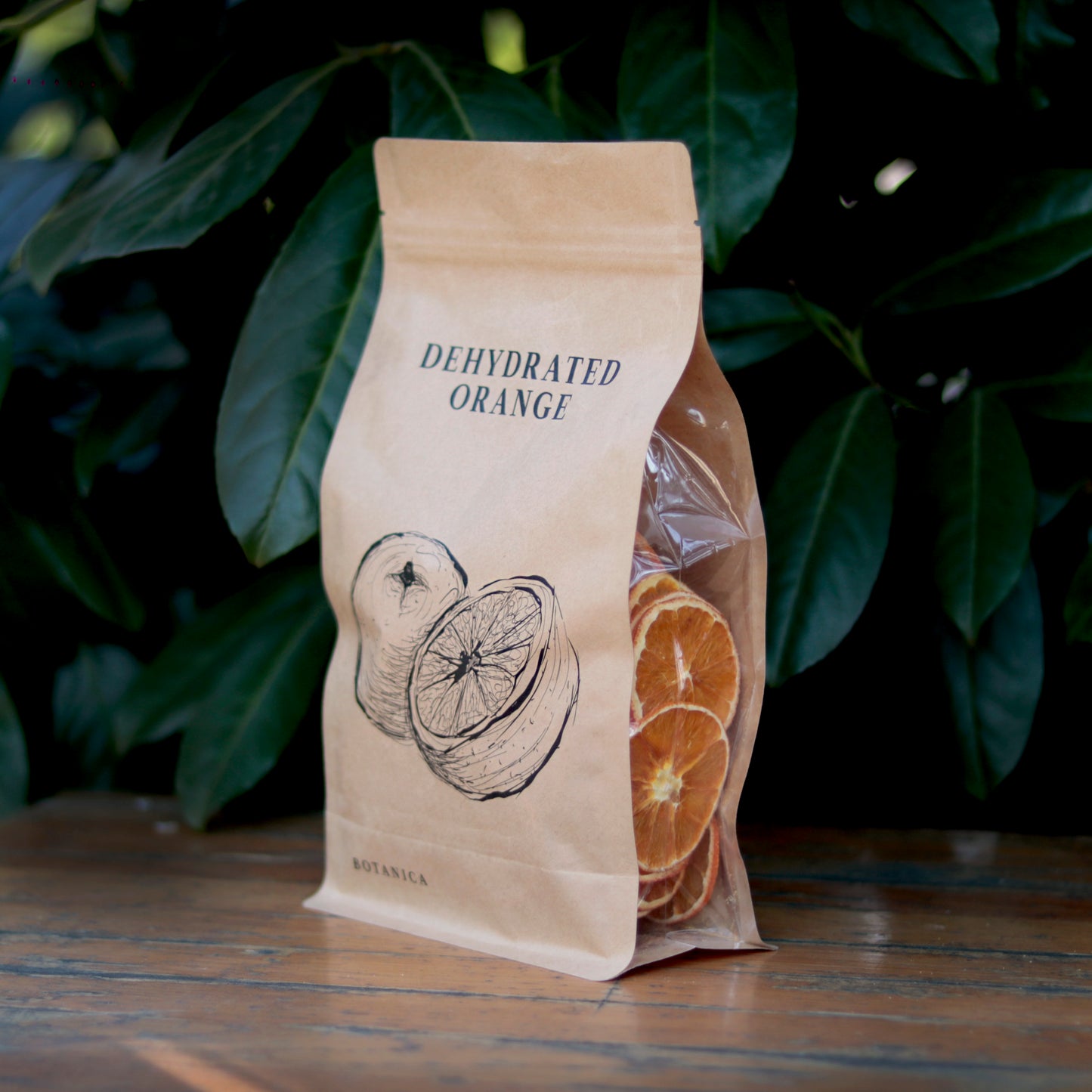 Botany - Dehydrated orange