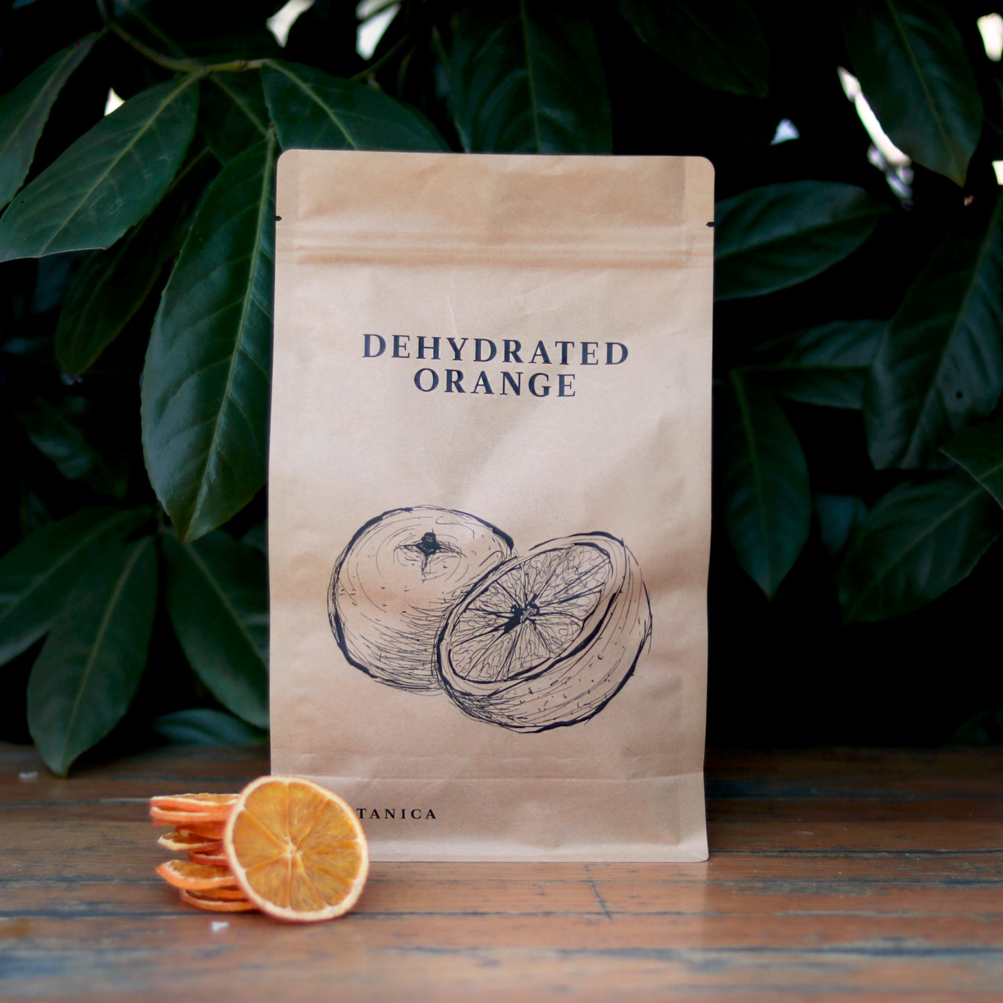 Botany - Dehydrated orange