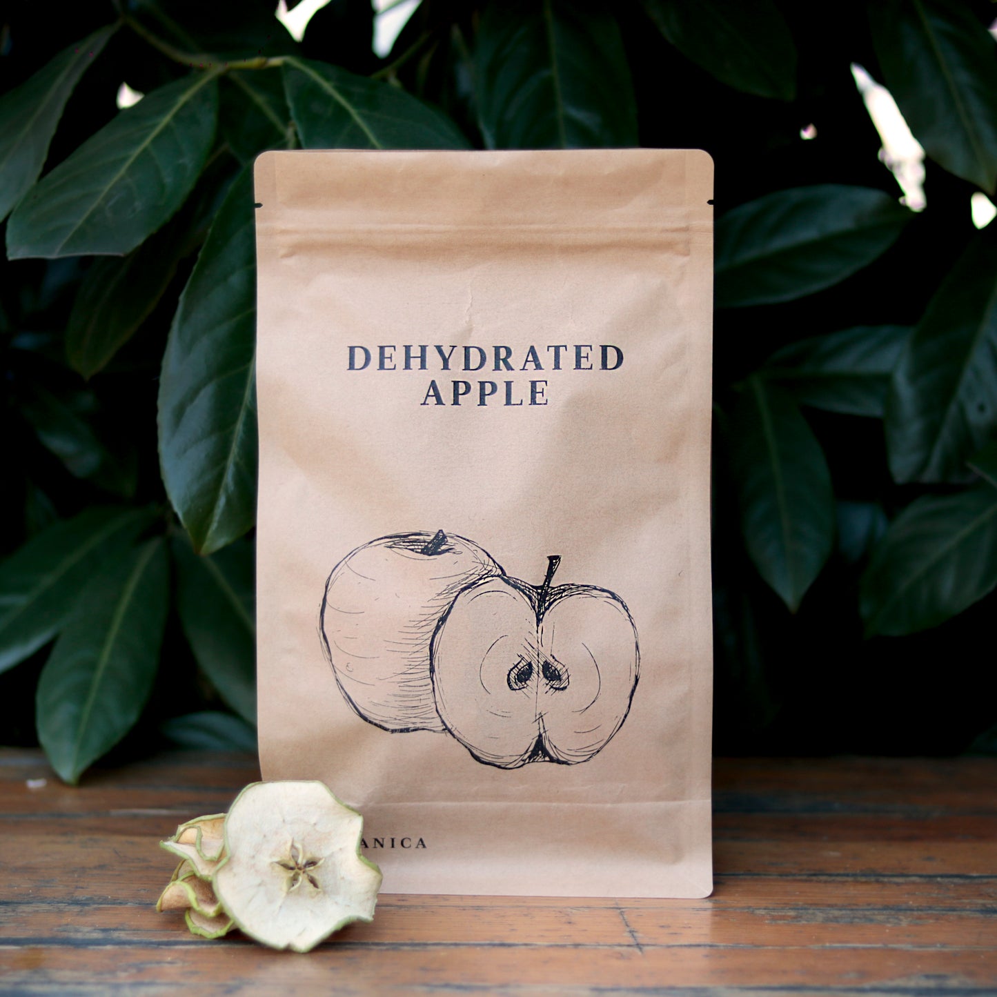 Botany - Dehydrated apple