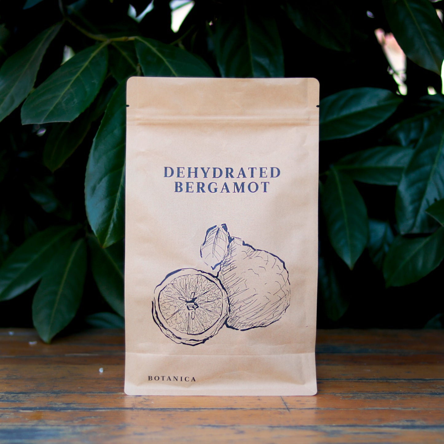 Botany - Dehydrated bergamot