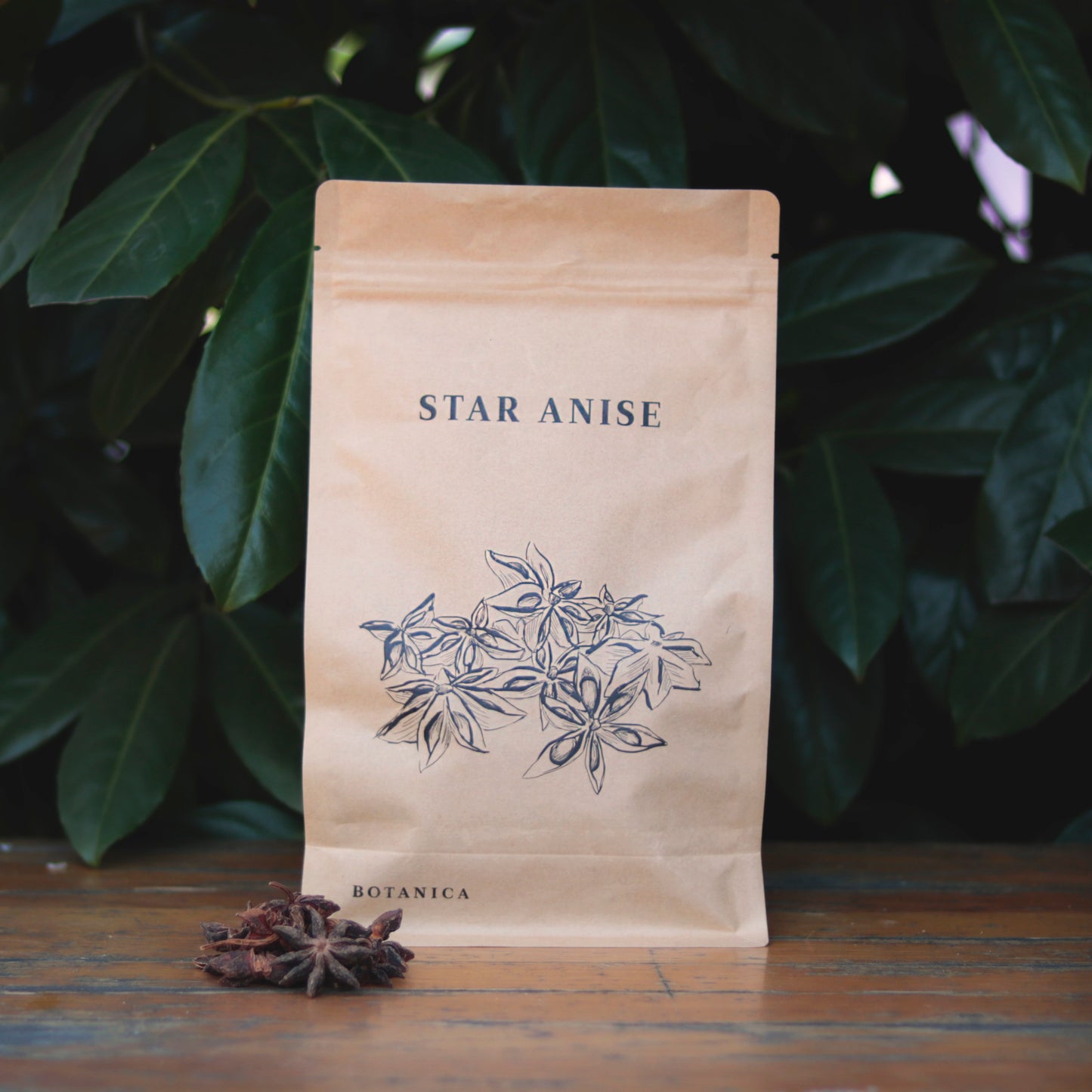 Botany - Star Anise