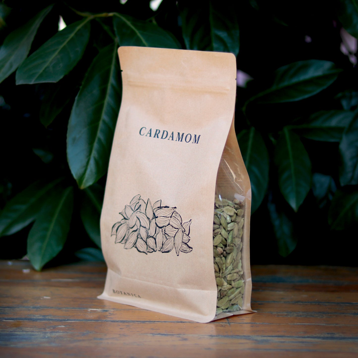 Botany - Cardamom