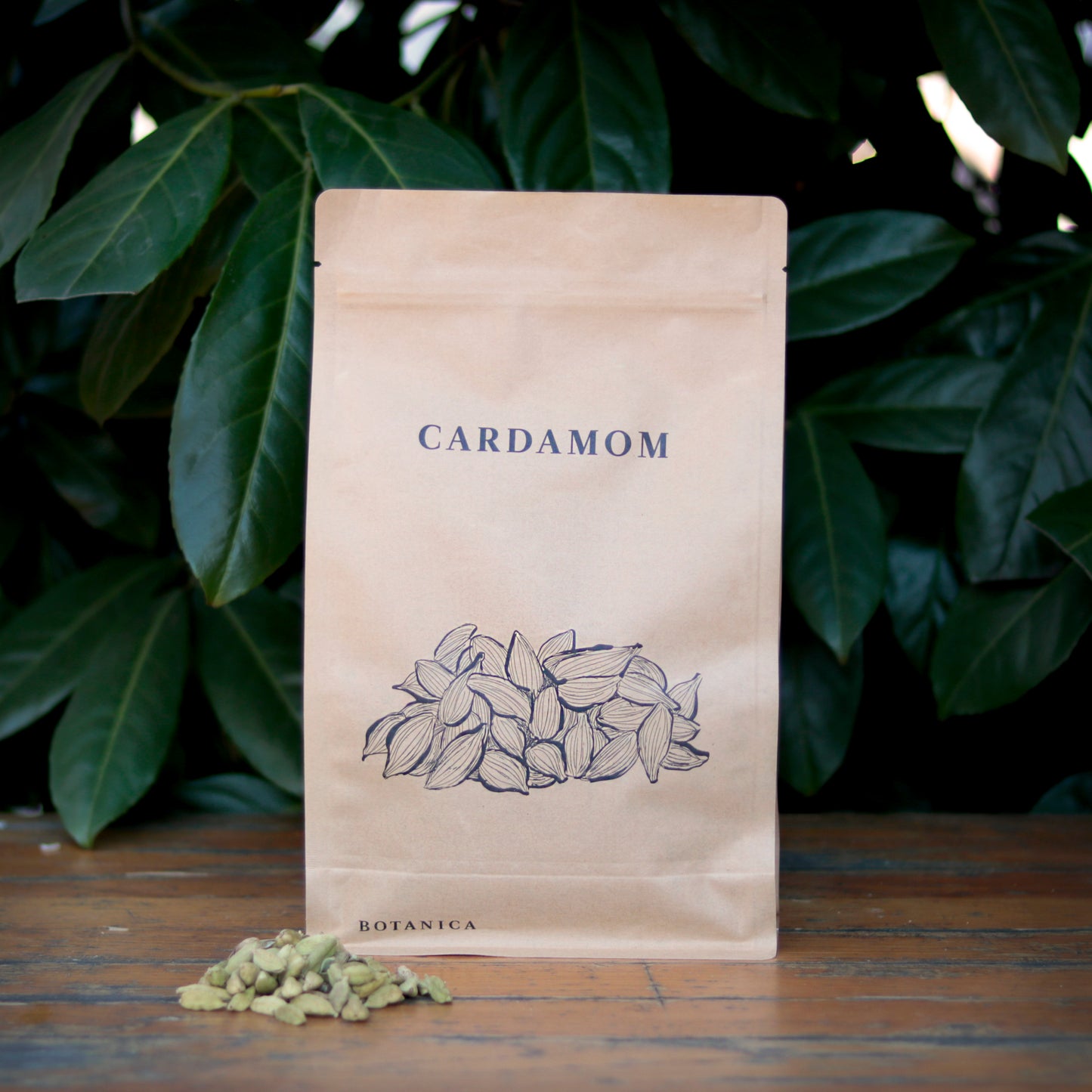 Botany - Cardamom