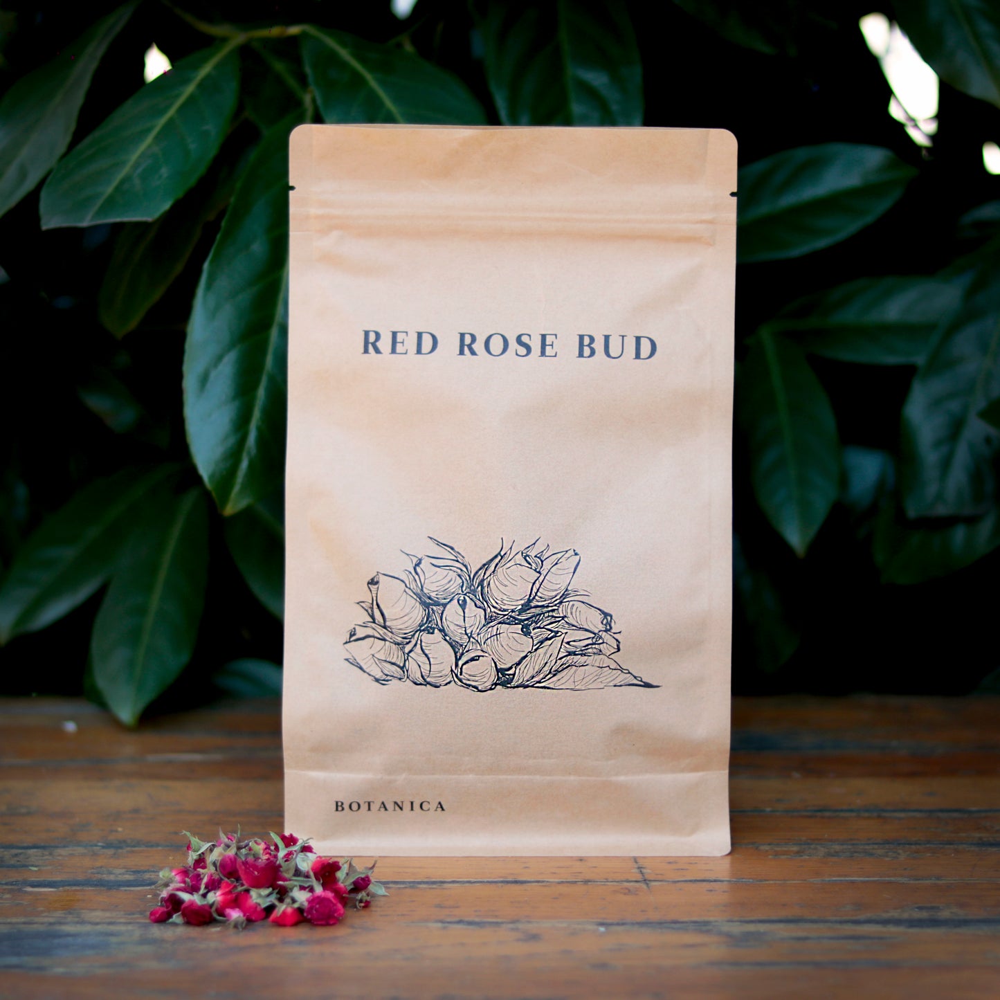 Botany - Red Persian Rose