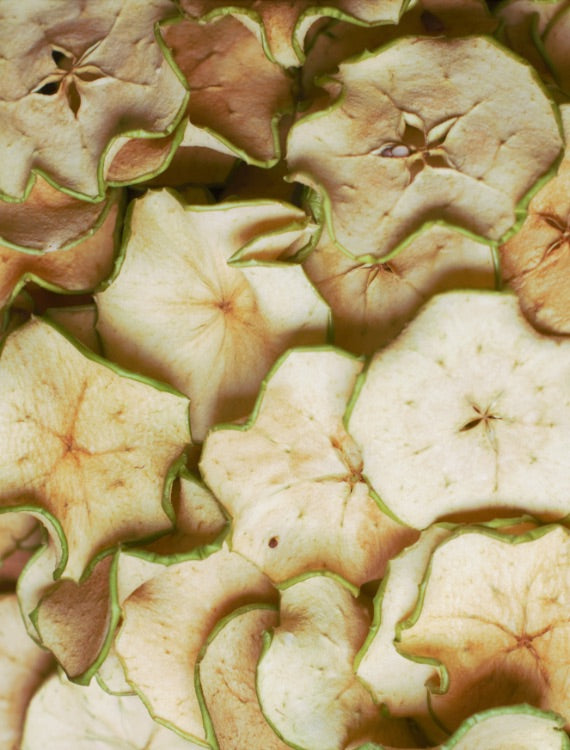 Botany - Dehydrated apple
