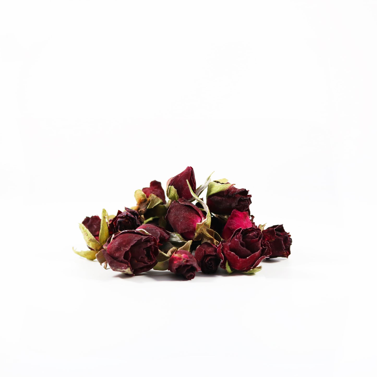 Botany - Red Persian Rose