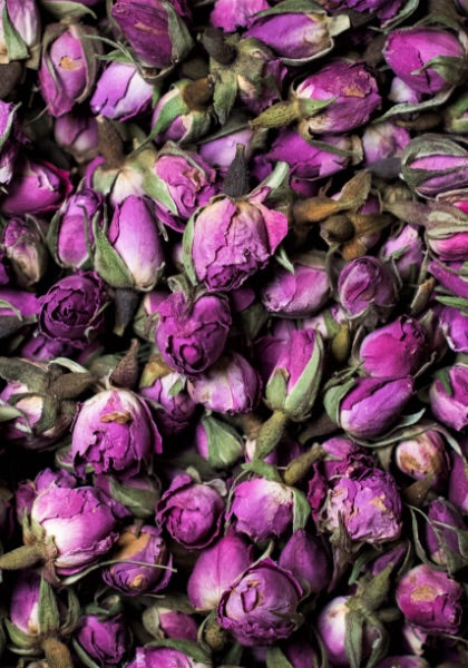 Botanica - Persian Pink Rose buds