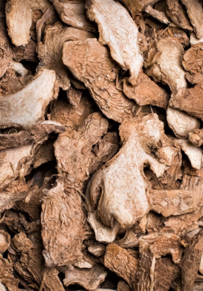 Botany - Ginger
