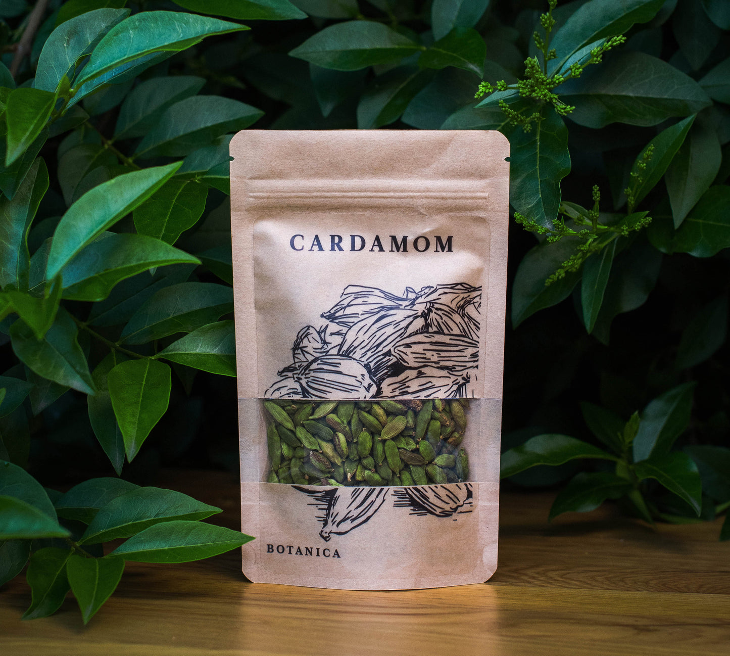 Botany - Cardamom