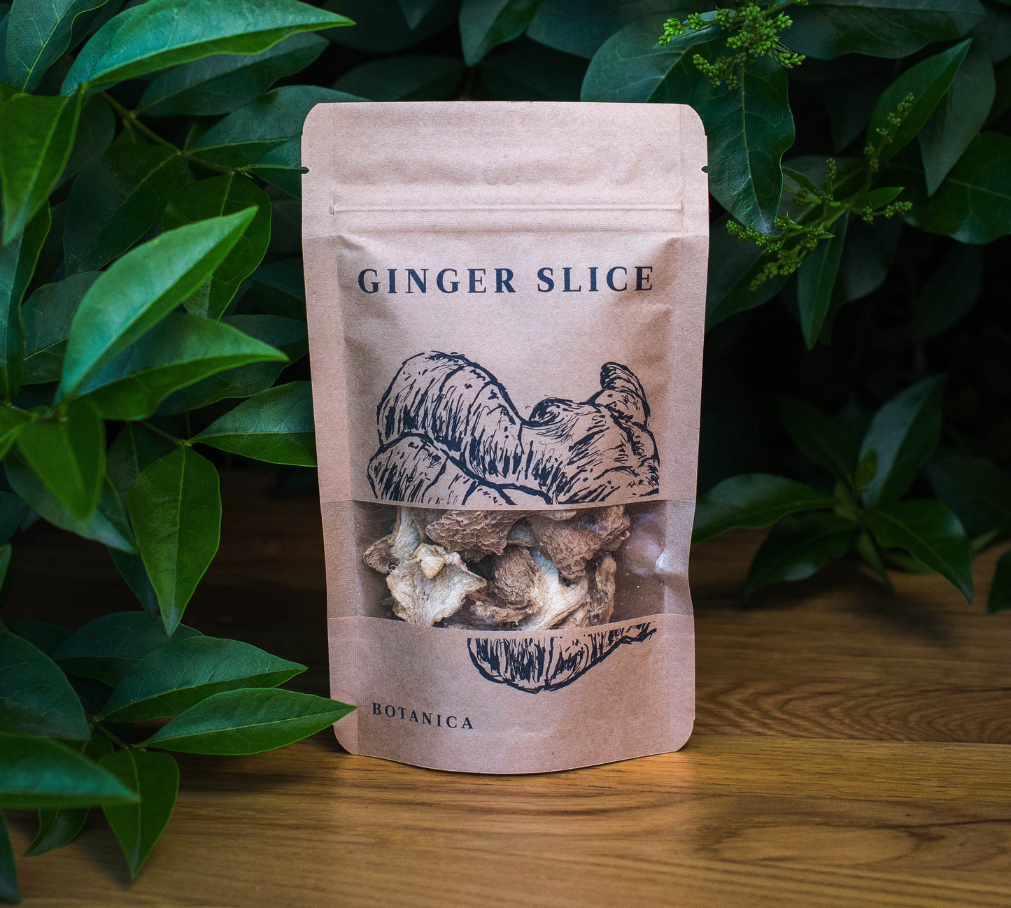 Botany - Ginger