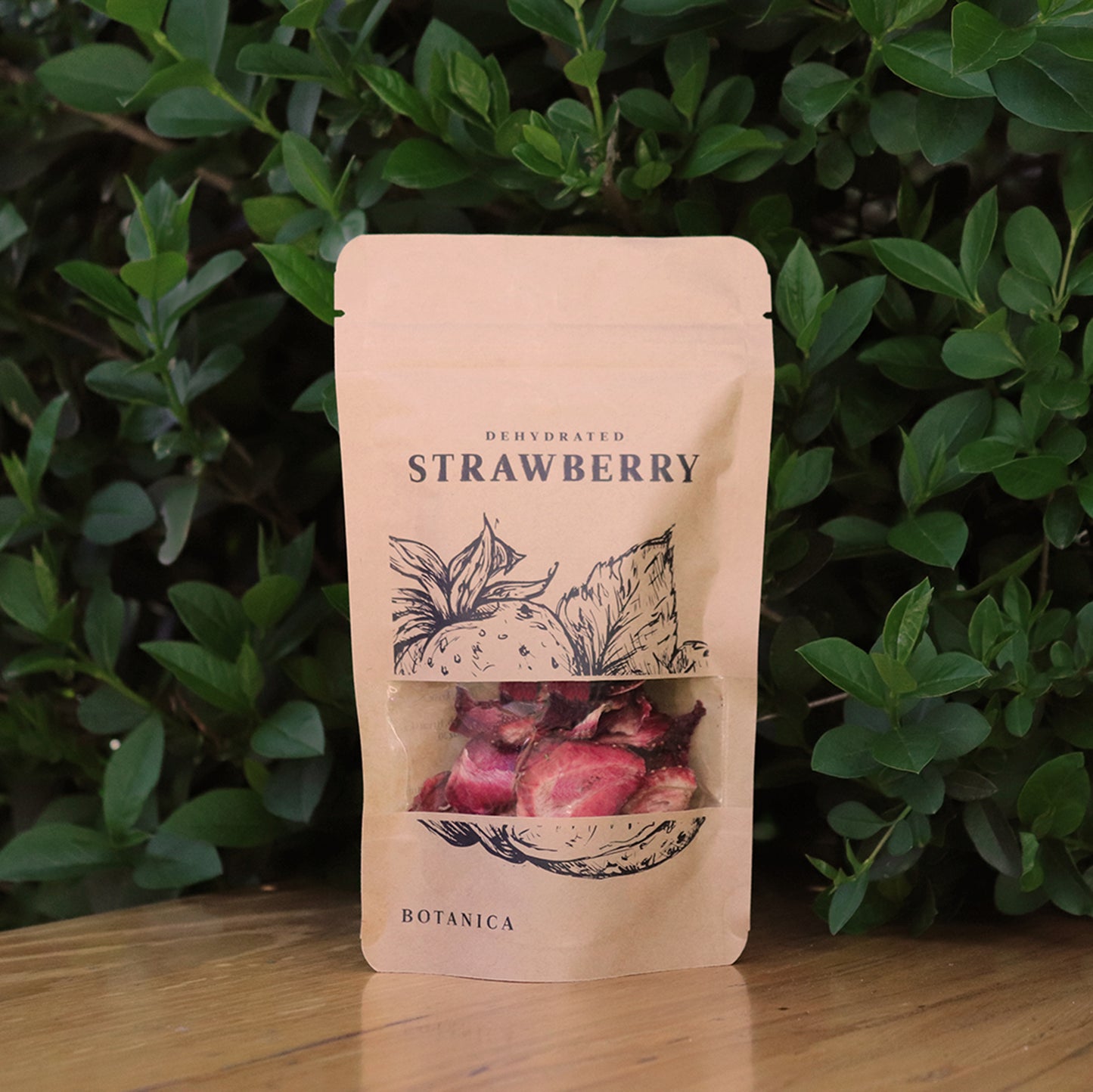 Botany - Dehydrated strawberry